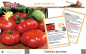 Preview: Tomate * Costoluto genovese * 20 Samen